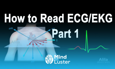 How to Read ECG EKG Part 1 Animation