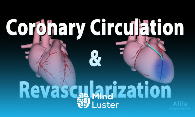 Coronary Circulation and Revascularization Animation