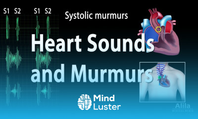 Murmuring Cartoon Learn Heart Sounds and Heart Murmurs Animation - Mind Luster