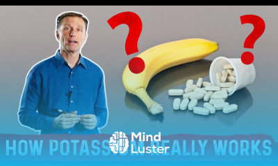 Potassium Muscle Strength and Exercise Endurance