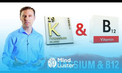 Potassium and Vitamin B12 Balance Explained by Dr Berg