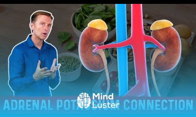 The Adrenal Gland and Potassium Connection – Dr Berg