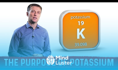 The Purpose of Potassium – Dr Berg