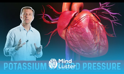 Insulin Resistance Potassium Blood Pressure – Dr Berg
