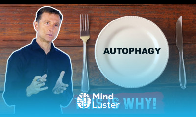 What Is Autophagy The Real Reason Why It Exists – Dr Berg