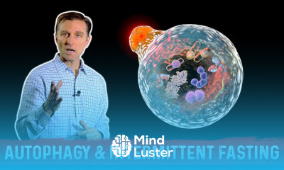 Autophagy Intermittent Fasting – Activate Garbage Recycling Cell Regeneration – Dr Berg
