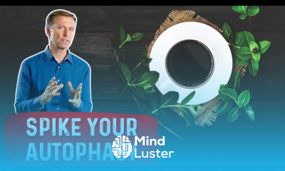 Enhance Autophagy with Coffee and Herbs