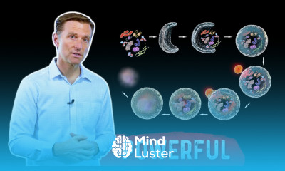 The Antiviral Effects of Autophagy