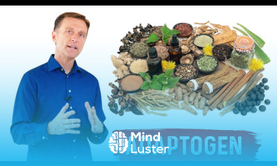 What are Adaptogens – Ashwagandha Explained by Dr Berg