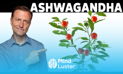 THIS is the Most Powerful ADAPTOGEN in The World How it Works and Why it s THE BEST