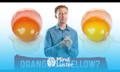 Egg Yolks Orange or Yellow – Pasture Raised Eggs vs Factory Farm Eggs – Which is Better – Dr Berg