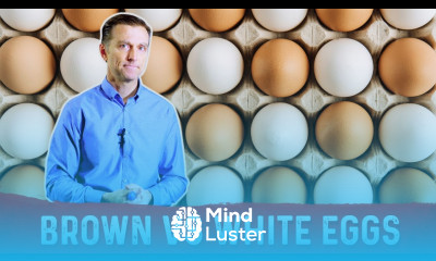 Brown Eggs vs White Eggs – Which Are Healthier – Dr Berg