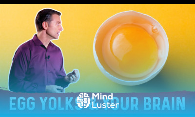 The Benefit Of Egg Yolks On Your Brain Health – Dr Berg on Egg Nutrition