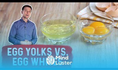 Egg Yolk vs Egg Whites – Which One is Healthier – Dr Berg