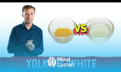 Egg Yolk vs Egg White What s the Difference