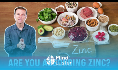 8 Factors Which Determine If You Can Absorb Zinc or NOT – Dr Berg