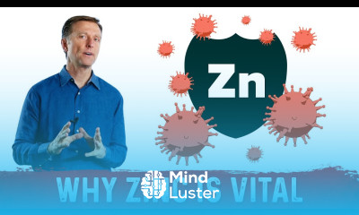 Importance of Zinc for the Immune System