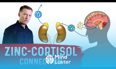 Zinc Can Help Lower Cortisol