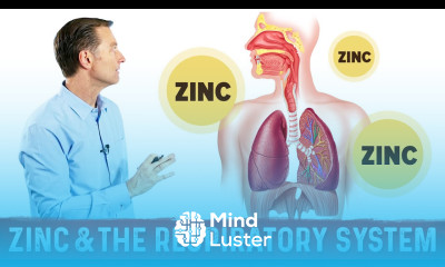 Zinc Effects on Your Respiratory System