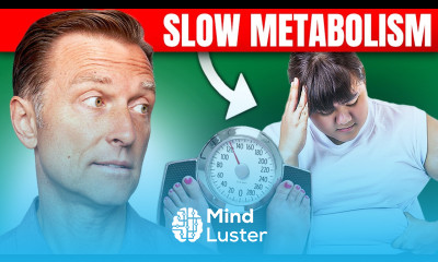 The Best Way to Fix a Slow Metabolism – Dr Berg s Expert Advice