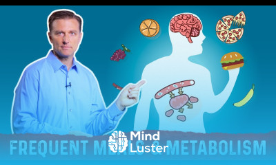 Will Small Frequent Meals Throughout The Day Enhance Metabolism – Dr Berg