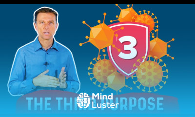 The 3rd Purpose of Your Immune System