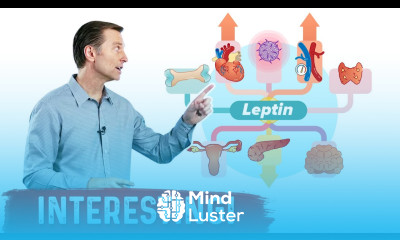 Leptin is an Immune Hormone