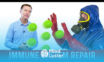 How to Repair Your Immune System if it is Old and Damaged