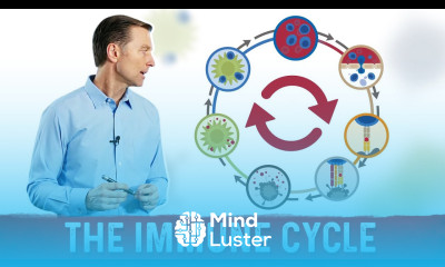 Don t Turn Off Your Immune System Prematurely