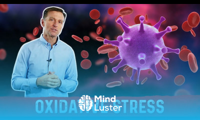 Oxidative Stress Immune System and Viral Infection