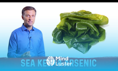 Is Arsenic Dangerous in Sea Kelp – Dr Berg