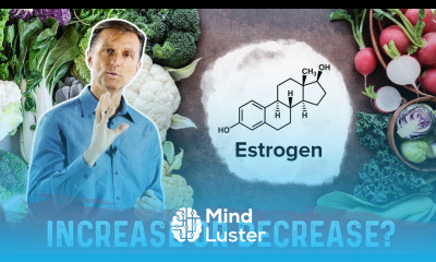 Do Cruciferous Vegetables Increase or Decrease Estrogen