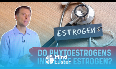 Do Phytoestrogens Increase Estrogen Levels – Dr Berg