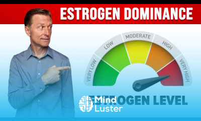 Understanding the Women Menstrual Cycle and Estrogen Dominance – Dr Berg