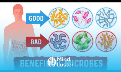 8 Health Benefits of Probiotics Dr Berg