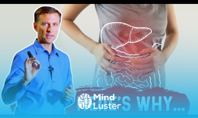How do Probiotics Work for Fatty Liver Disease – Dr Berg