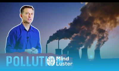 Is Pollution Depleting Your Vitamin C