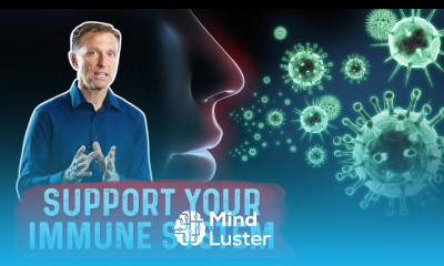 Vitamin C s Immune Benefits