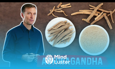 The Benefits of Ashwagandha