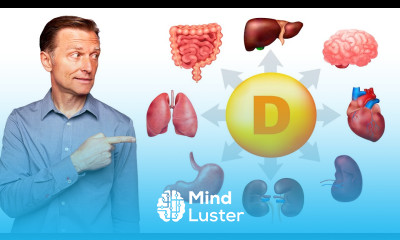 How Vitamin D Affects Every Organ and Tissue
