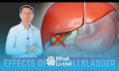 Gallbladder Function What You MUST Know If You Don t Have a Gallbladder – Dr Berg