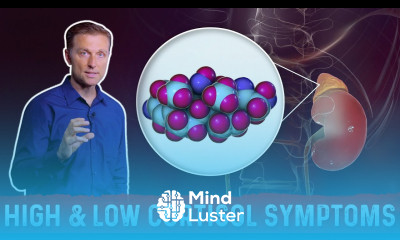 Low vs High Cortisol Levels Symptoms Explained By Dr Berg