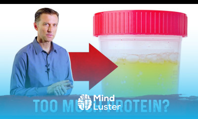 Top 5 Symptoms Of Eating Too Much Protein – Dr Berg