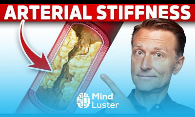 The 1 Cause of Arterial Stiffness Hypertension