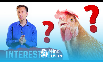 Why Don t Chickens that Eat Ticks Get Lyme Disease