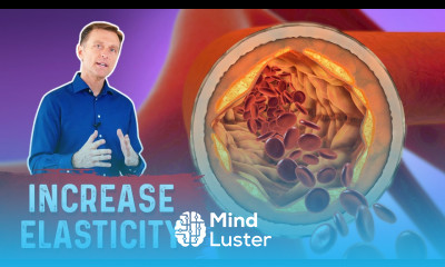 Arterial Stiffness and Vitamin D