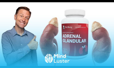 Adrenal Glandular FAQ