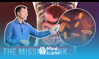 Friendly Bacteria and Fungus Gut Relationship