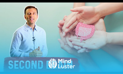 Your Second Brain Is in Your Gut