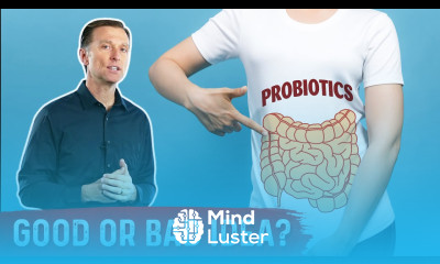 Probiotics for Constipation Maybe Not